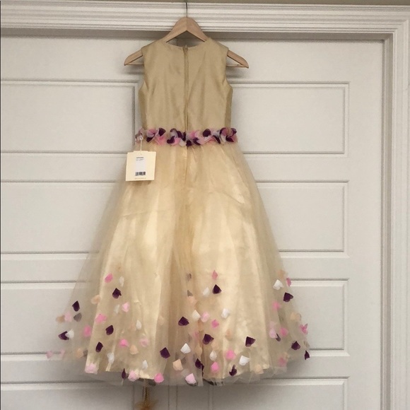NWT. A-Line floor length flower girl dress - Picture 3 of 7